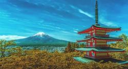 日本文化和傳統